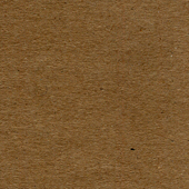 Letters to Petrarch by Logen Cure
