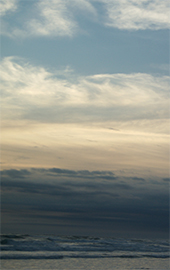 Our hollowness sings by Ruth Dickey