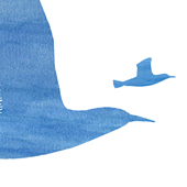 Thoughts to Fold into Birds by Julie Funderburk