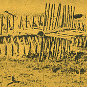 Letters From Vicksburg by Gary Gildner