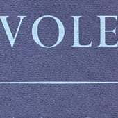 Snow Vole by Teo Savory