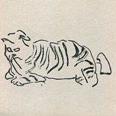 The Origin of Cats by Teo Savory