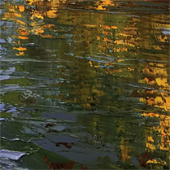 Creeks of the Upper South by Amy Wright and William Wright